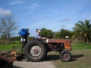 EcoFarm Strives for a Self Sustaining Food Community