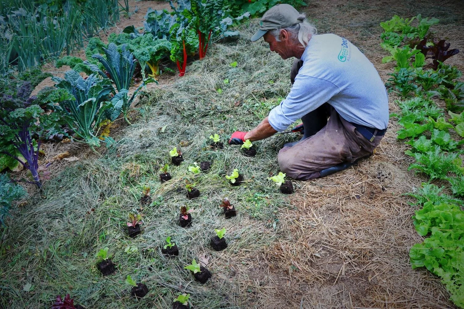 The Grass-Fed Market Garden with Jim Kovaleski