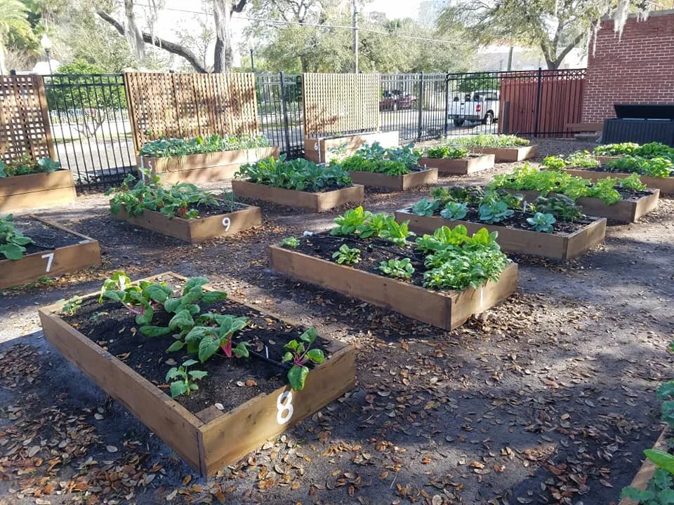 Whitwam Organics Empowers and Educates:  Grow Your Own Food!
