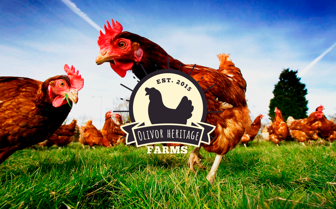 Olivor Heritage Farms: Spiritually Connected, Mindfully Pastured Raised
