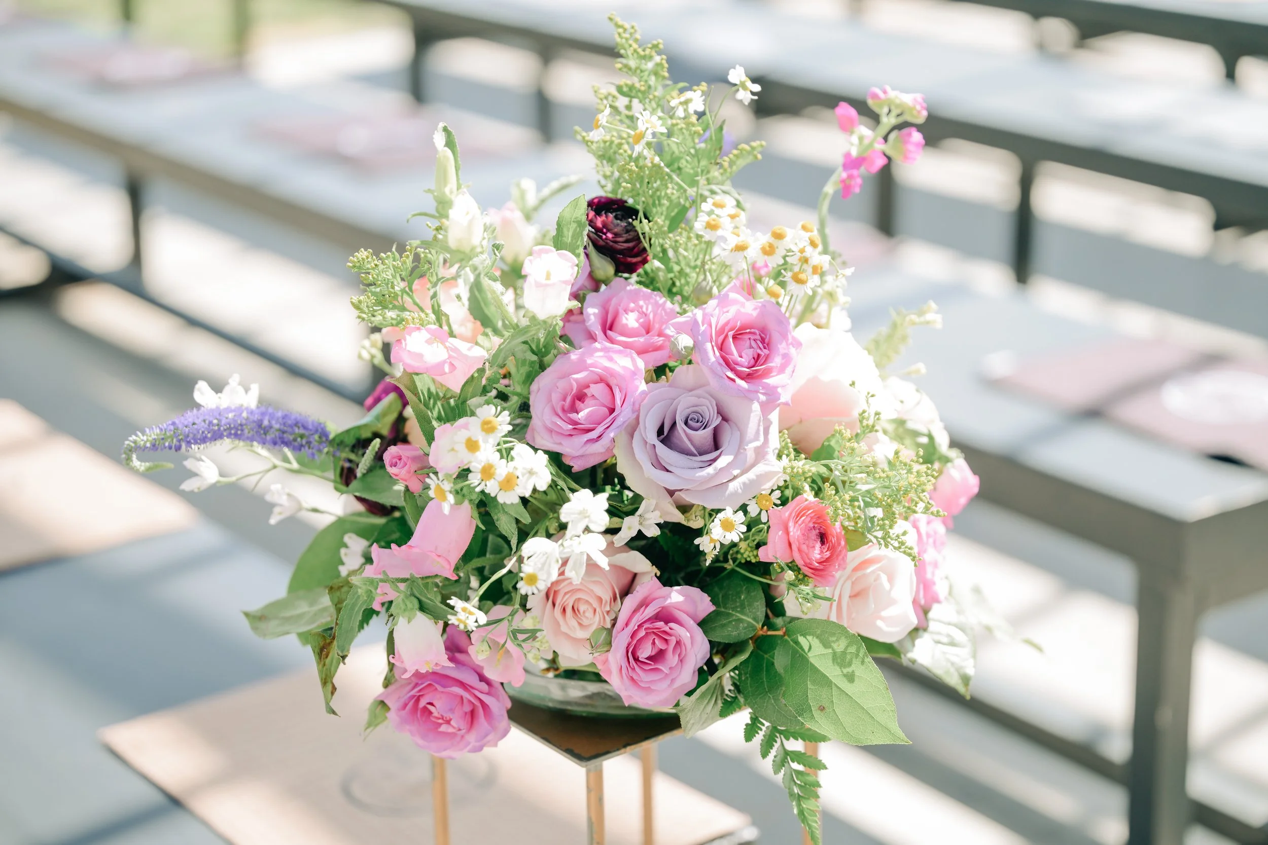 6.14.2025 Ware - Devin Sisk Photography2.JPG