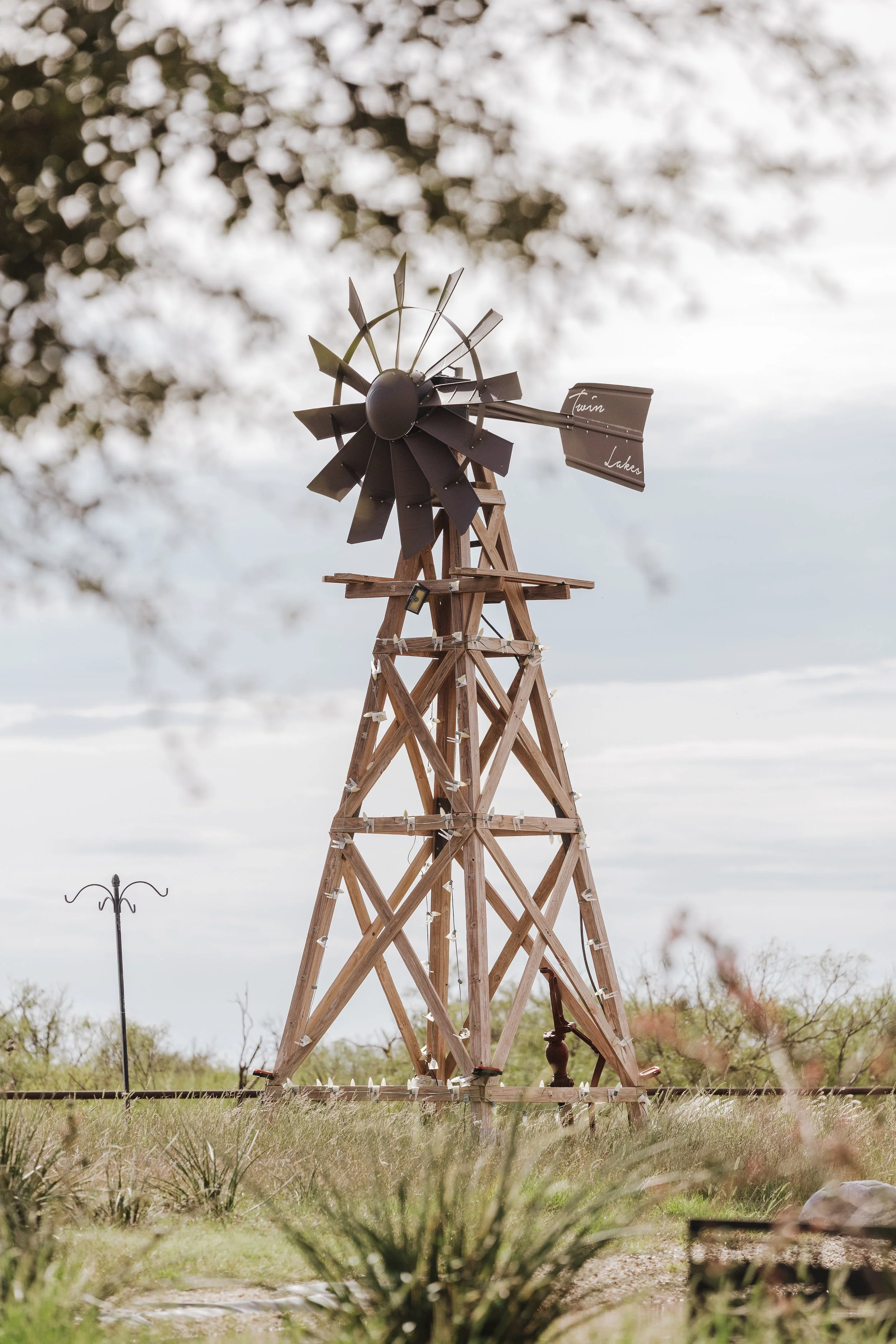 9.27.2025 Salazar - Sweet Soul Collection1.jpg