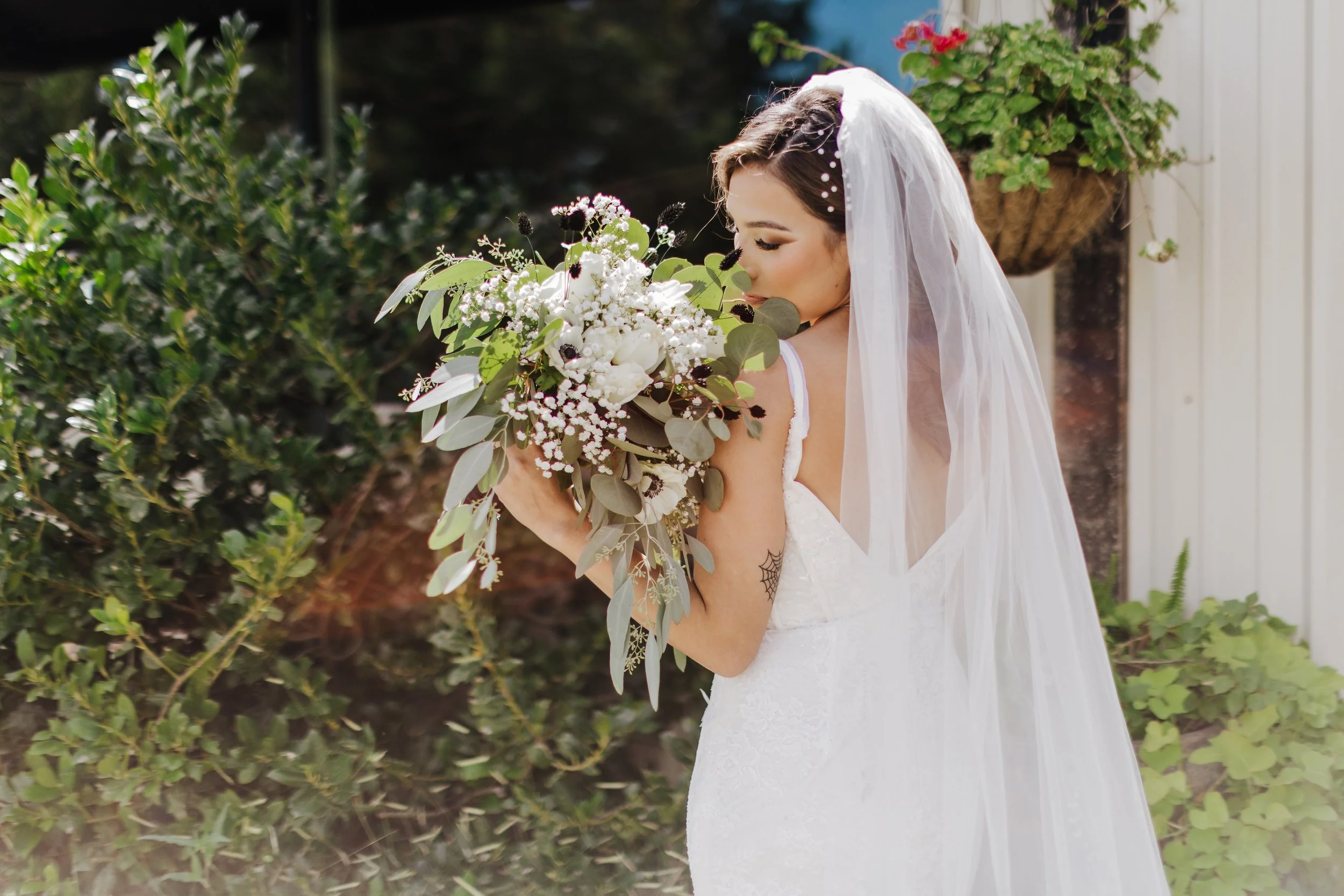 9.27.2025 Salazar - Sweet Soul Collection.jpg