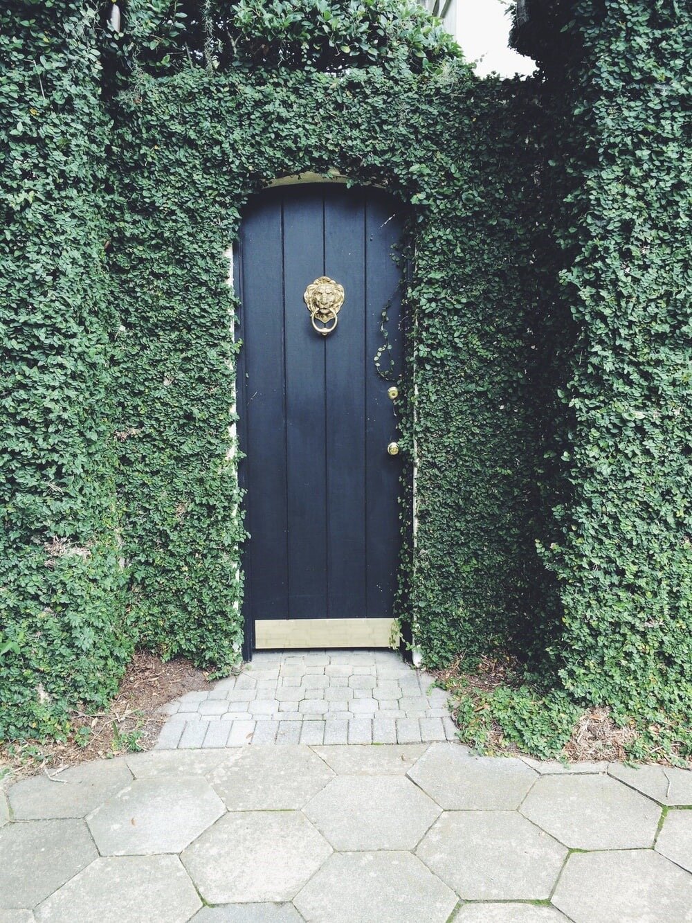 file 1000x1333_000666.jpg