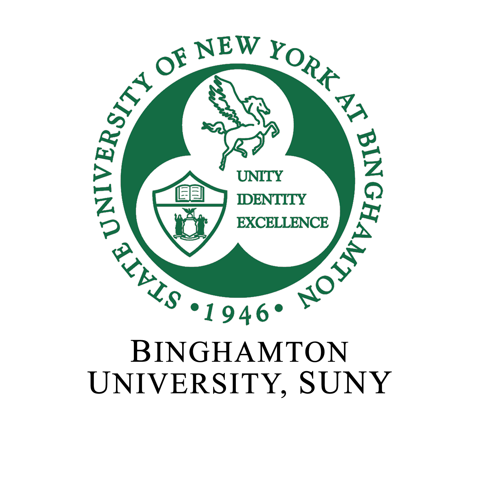 Binghamton-University-SUNY.png