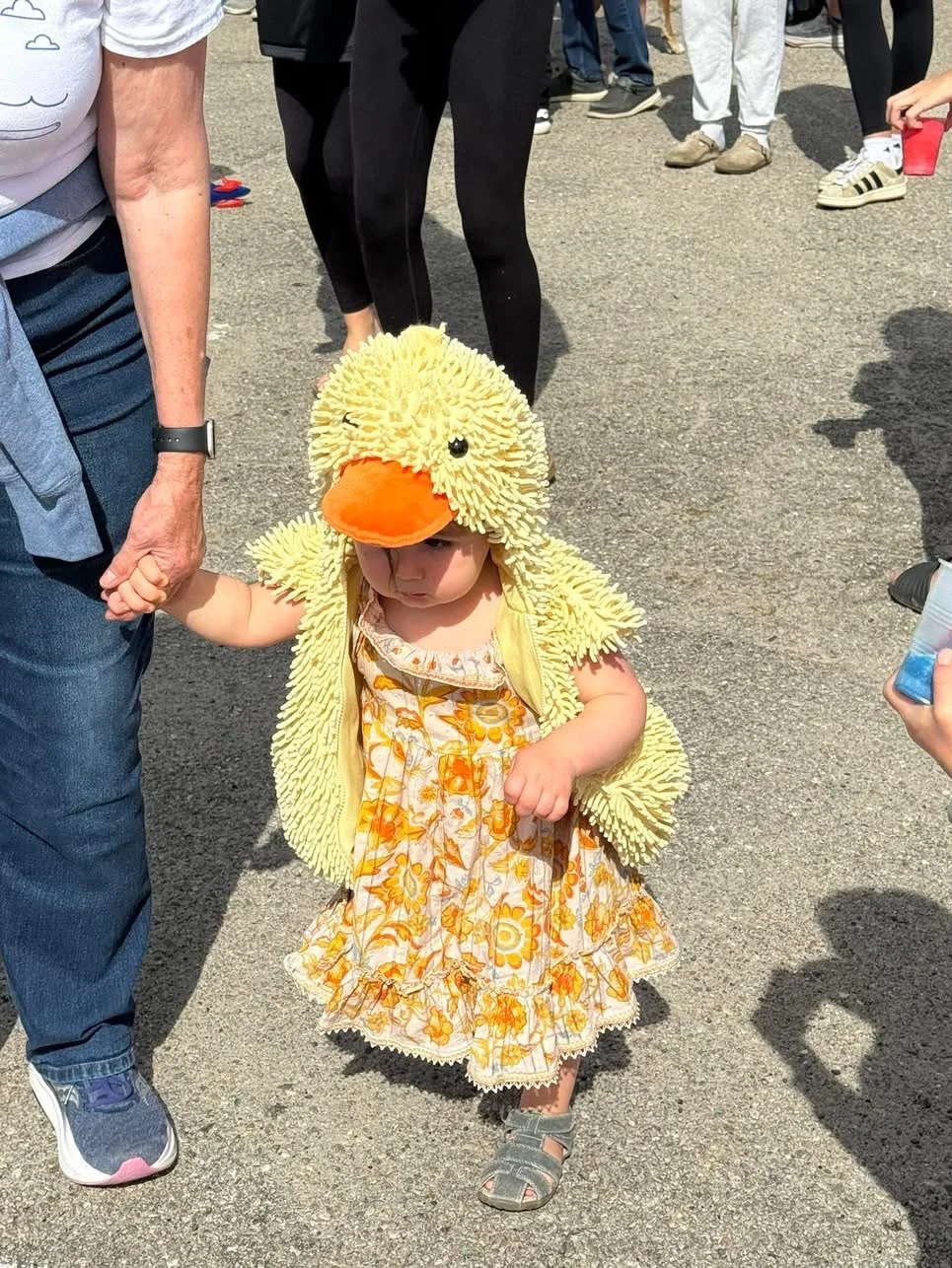 4ducks.JPG