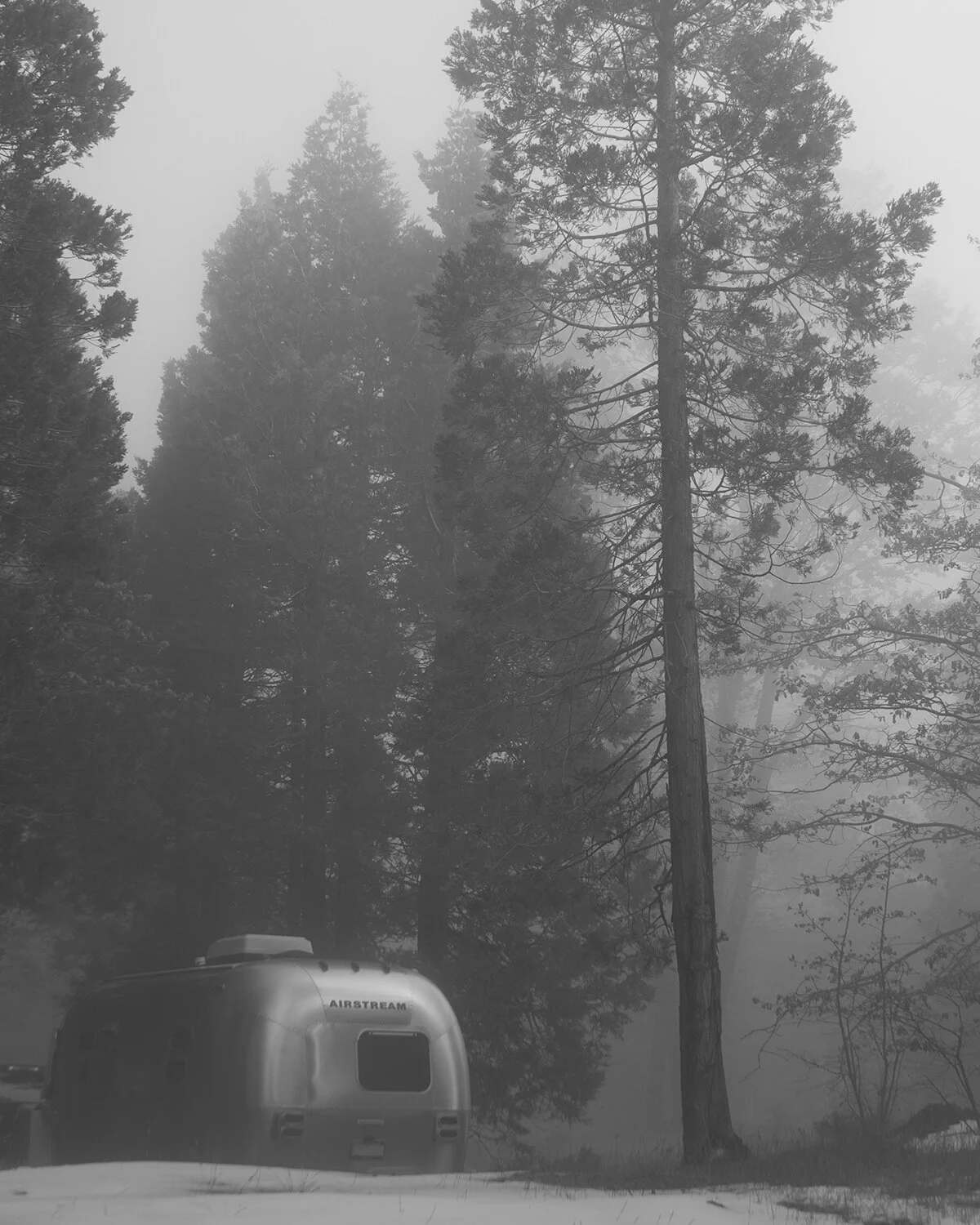 Hiding Airstream.jpg