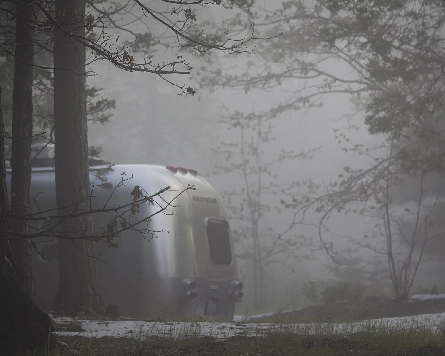 Airstream in Nature.jpg