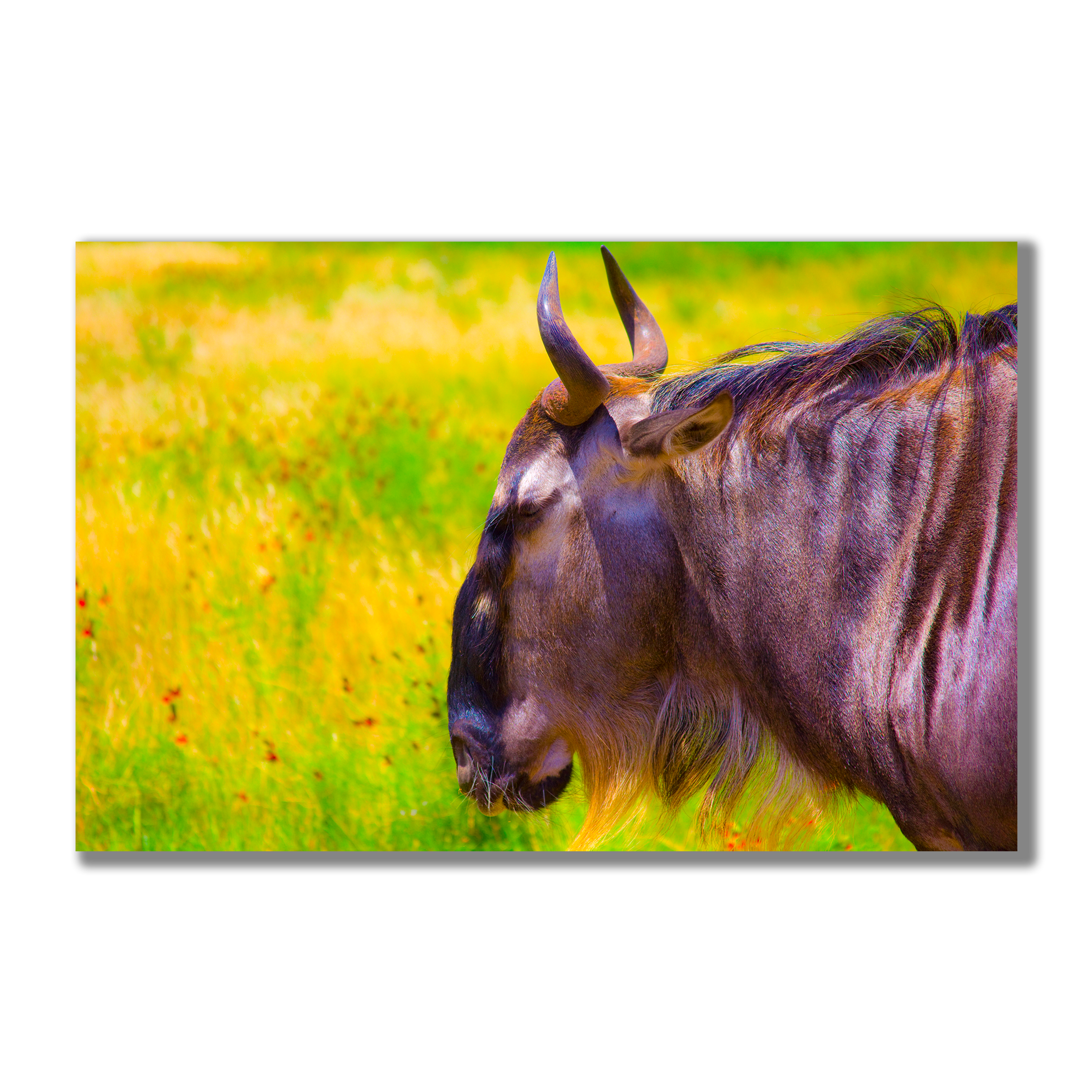 Enhanced Beast