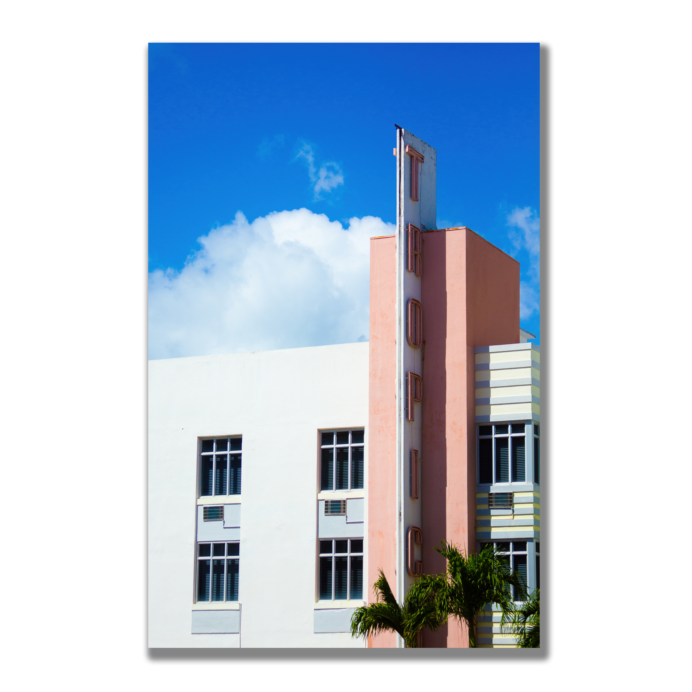 South Beach Tropical