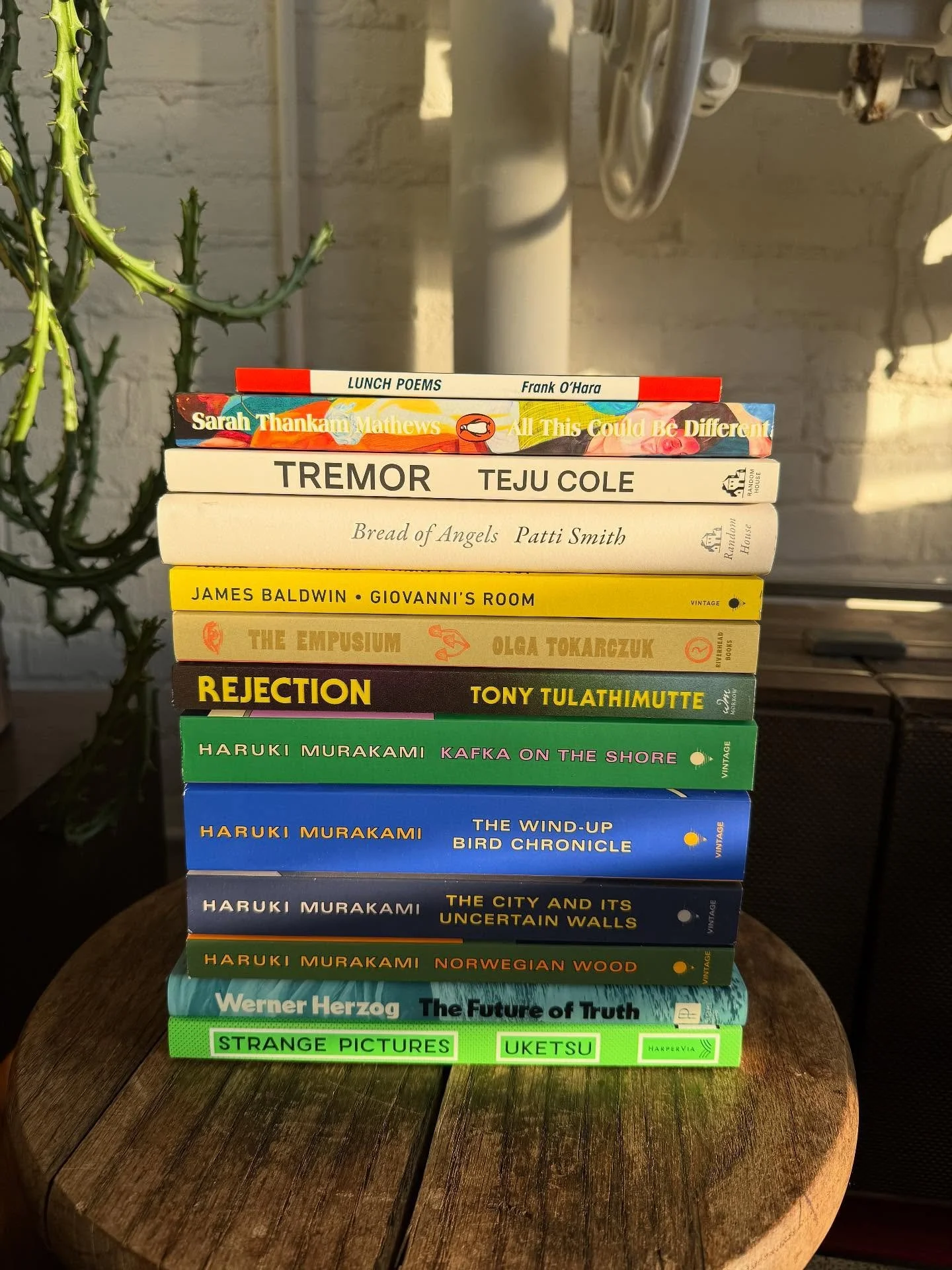 A delightful batch of new books headed out today. Here until 6 friends.