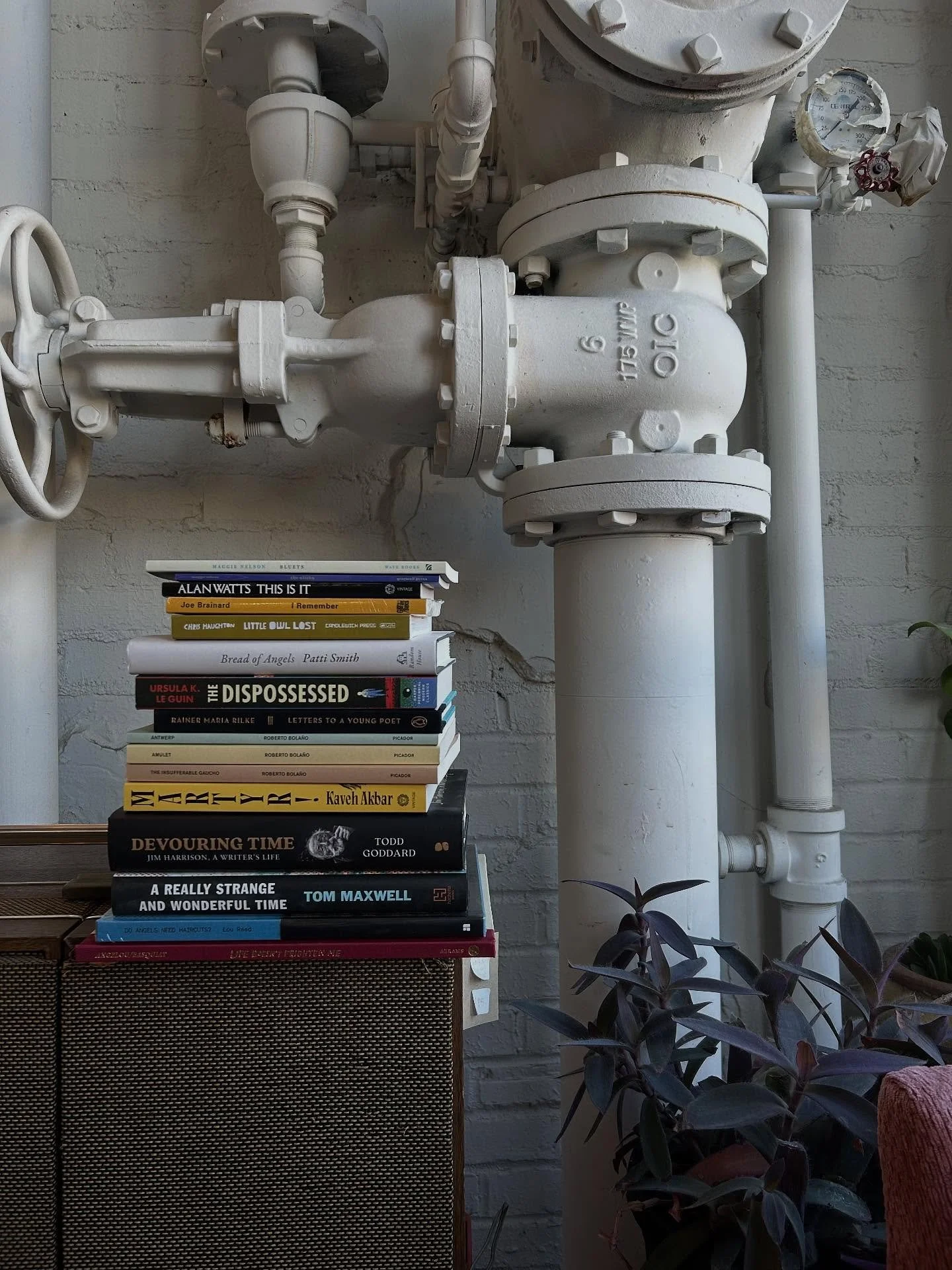 New books hitting the shelves today. Come find a new favorite.