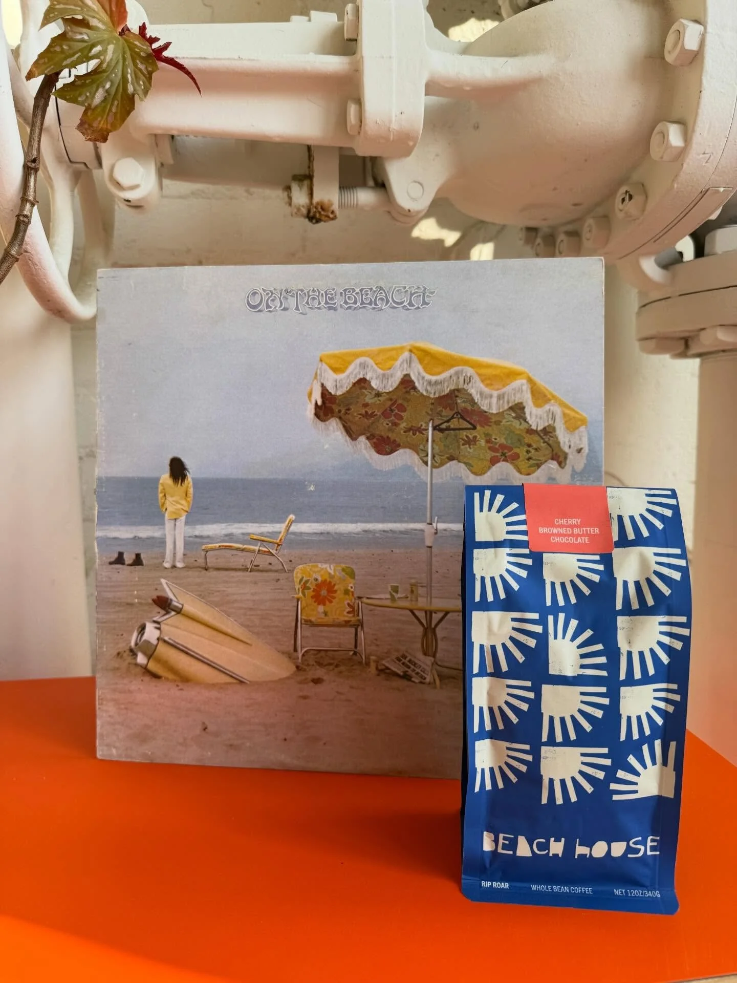 Happy Friday friends. Come grab some coffee for the weekend. Maybe listen to this record too. Here until 6.