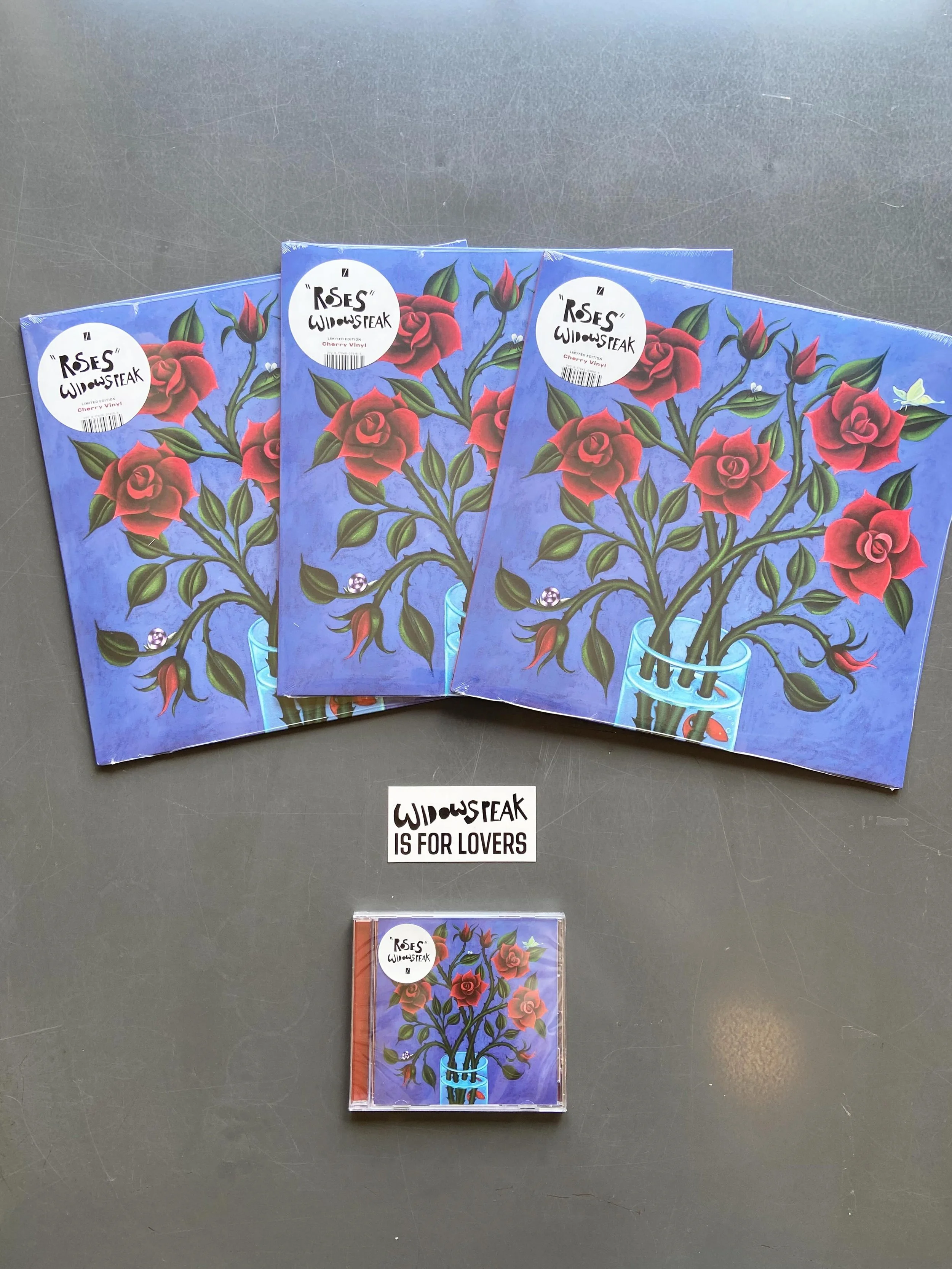 Happy Release day to our buds @widowspeaking 💙