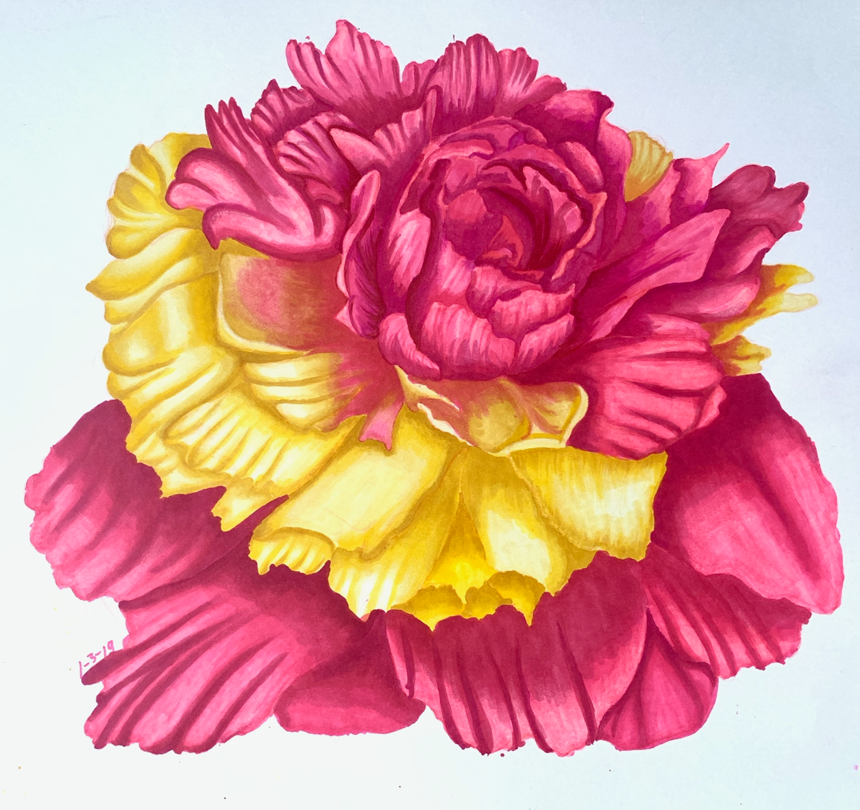  14”x11” 