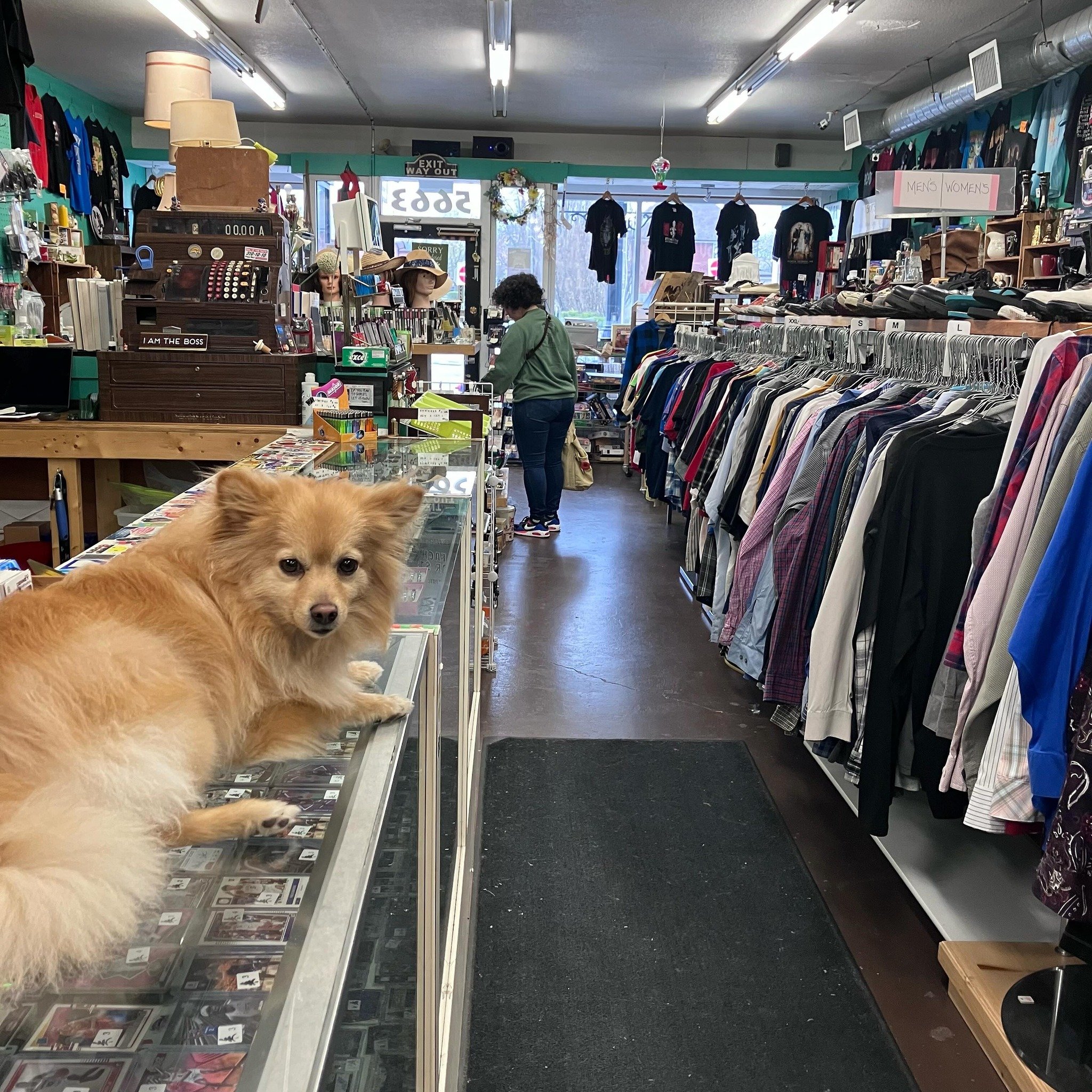 We&rsquo;ll be here holding the fort down until 6 pm today. 

🌲

#thriftstore #secondhand #shoplocal #niagarafalls