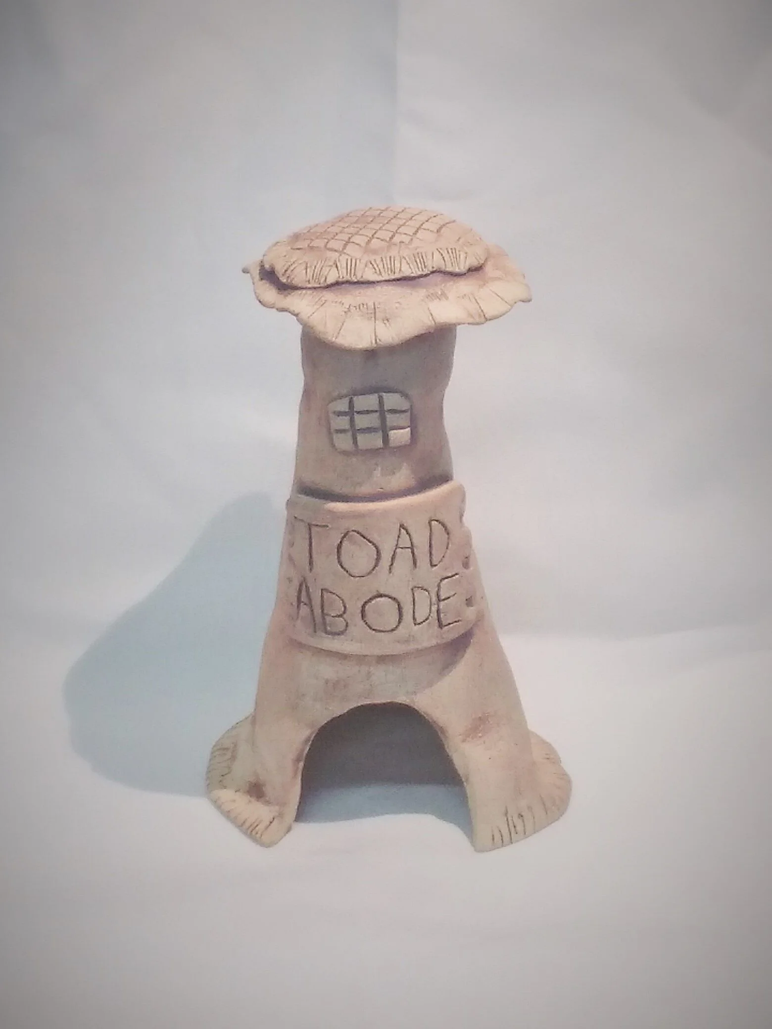 IMG_20210601_113620 toad.jpg