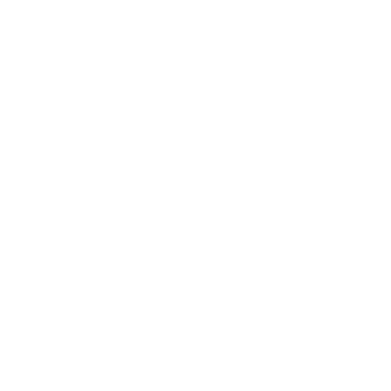 Asset 2.png