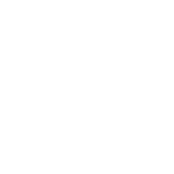 Asset 1.png