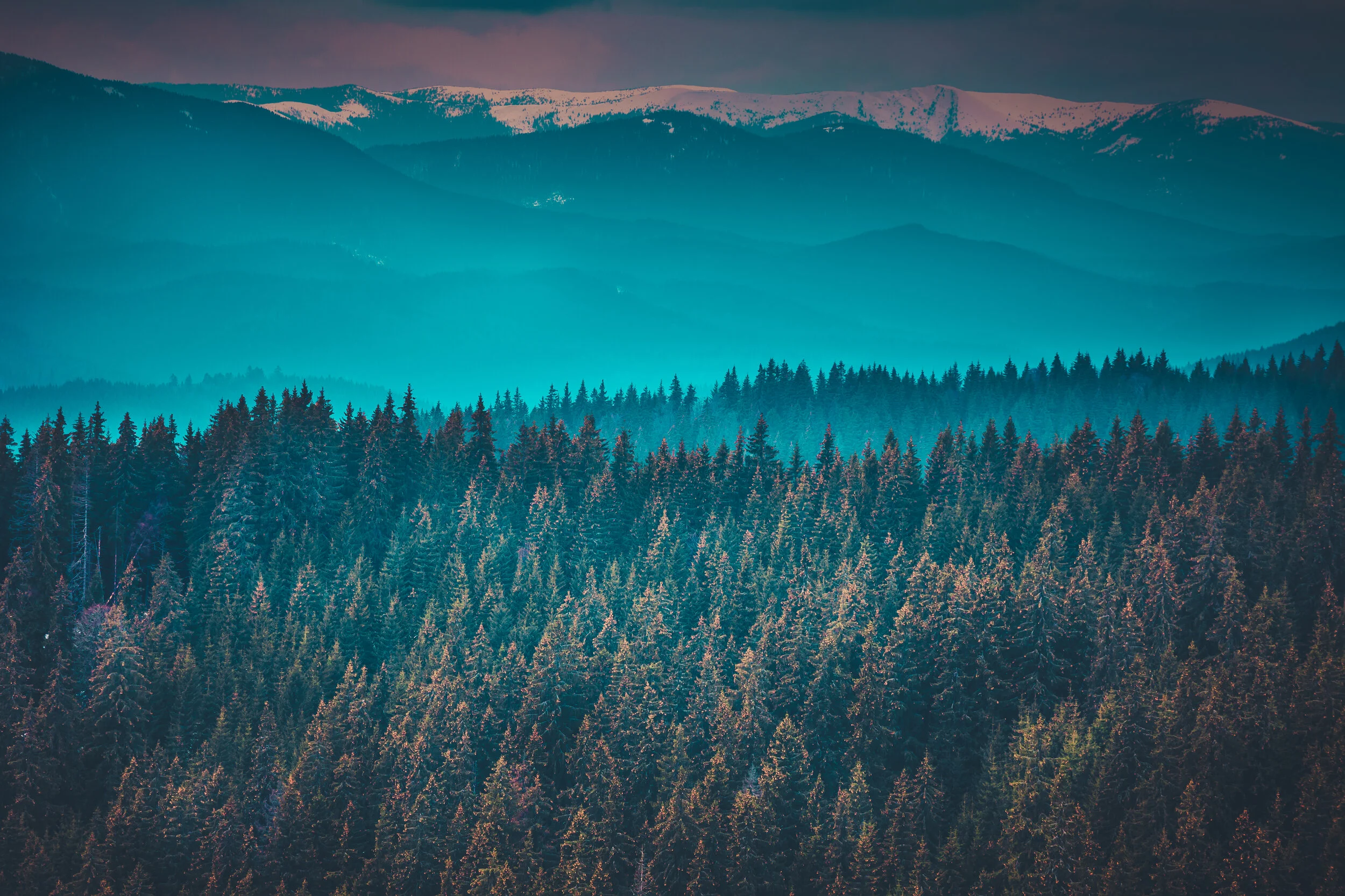 fantastic-mountain-peaks-and-forest-PUN4SFA.jpg