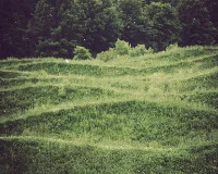 adaptibility and teshuvah