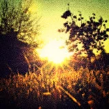 a platform of gratitude