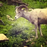 Abraham lifted up his eyes...