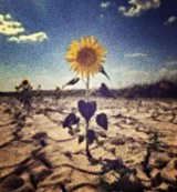 this too is for the good