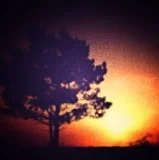 from the rising of the sun until its setting