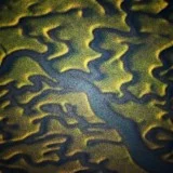 order through the body