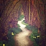 the long and short path