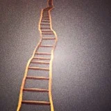 rungs to climb