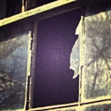 through the broken window