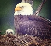 calm in the midst of the storm