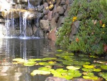 part 5 - prayer as meditation