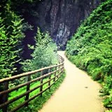 seclusion or interaction?