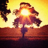 honor rising like the sun