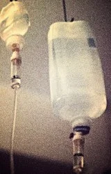 honoring Hashem's image