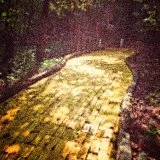 follow the yellow brick road