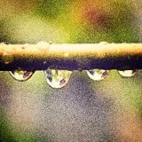 showering chesed