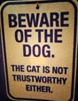 foundation of all relationships