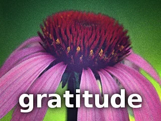 14-gratitude.jpg