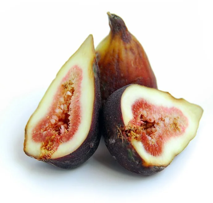 figs.jpg