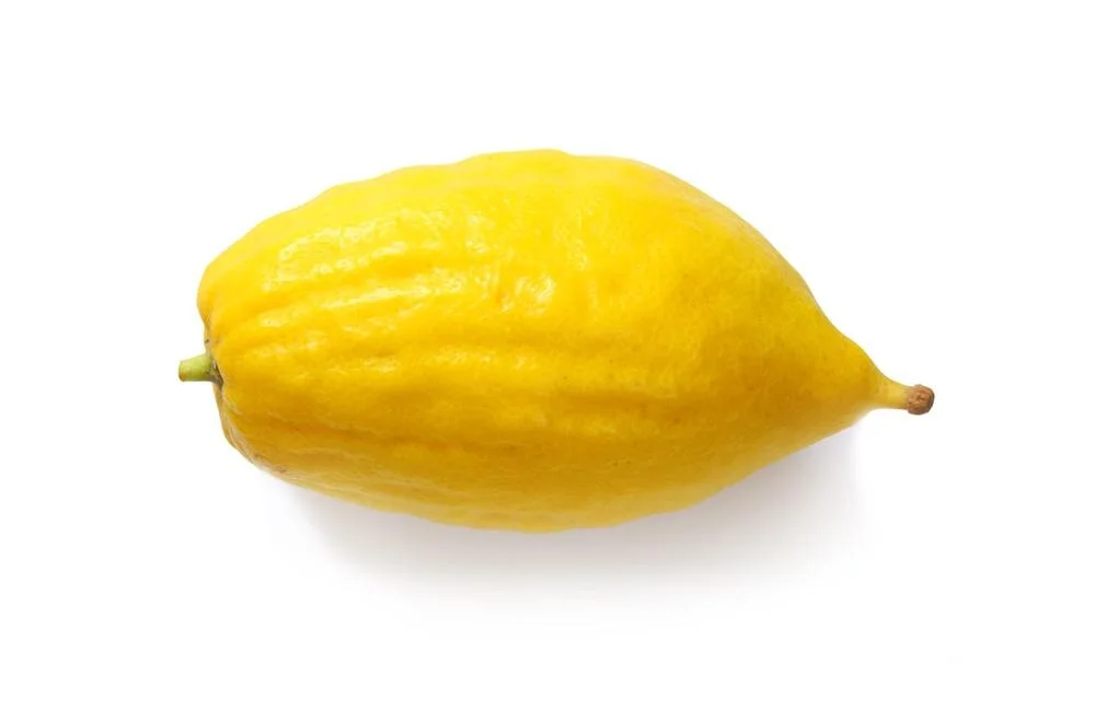 etrog_x850.jpg