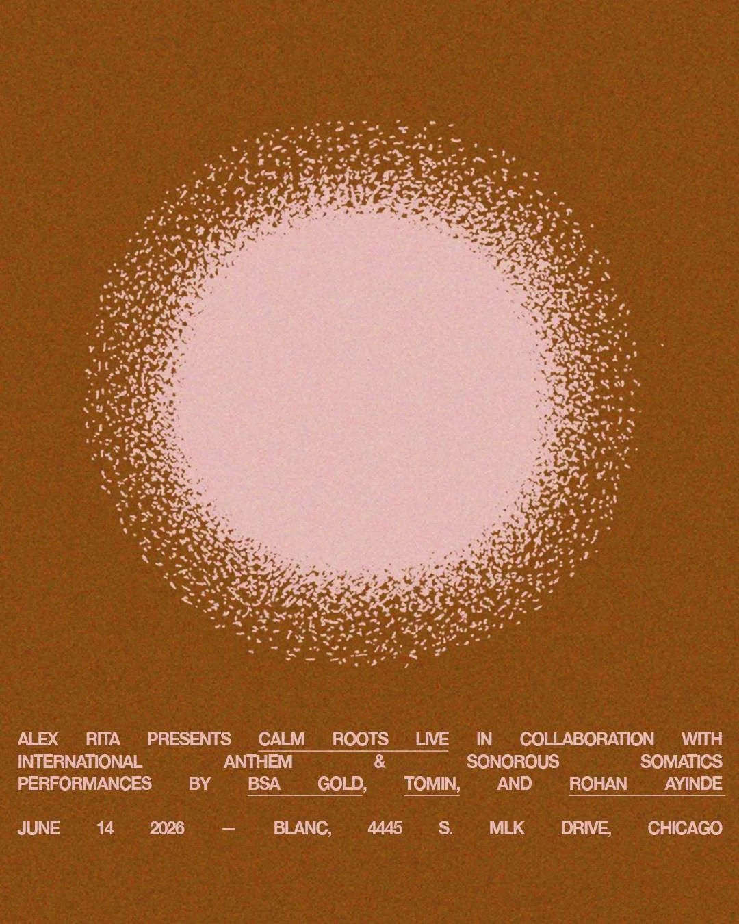Calm Roots Live in Chicago with Tomin, BSA Gold, Rohan Ayinde & Alex Rita