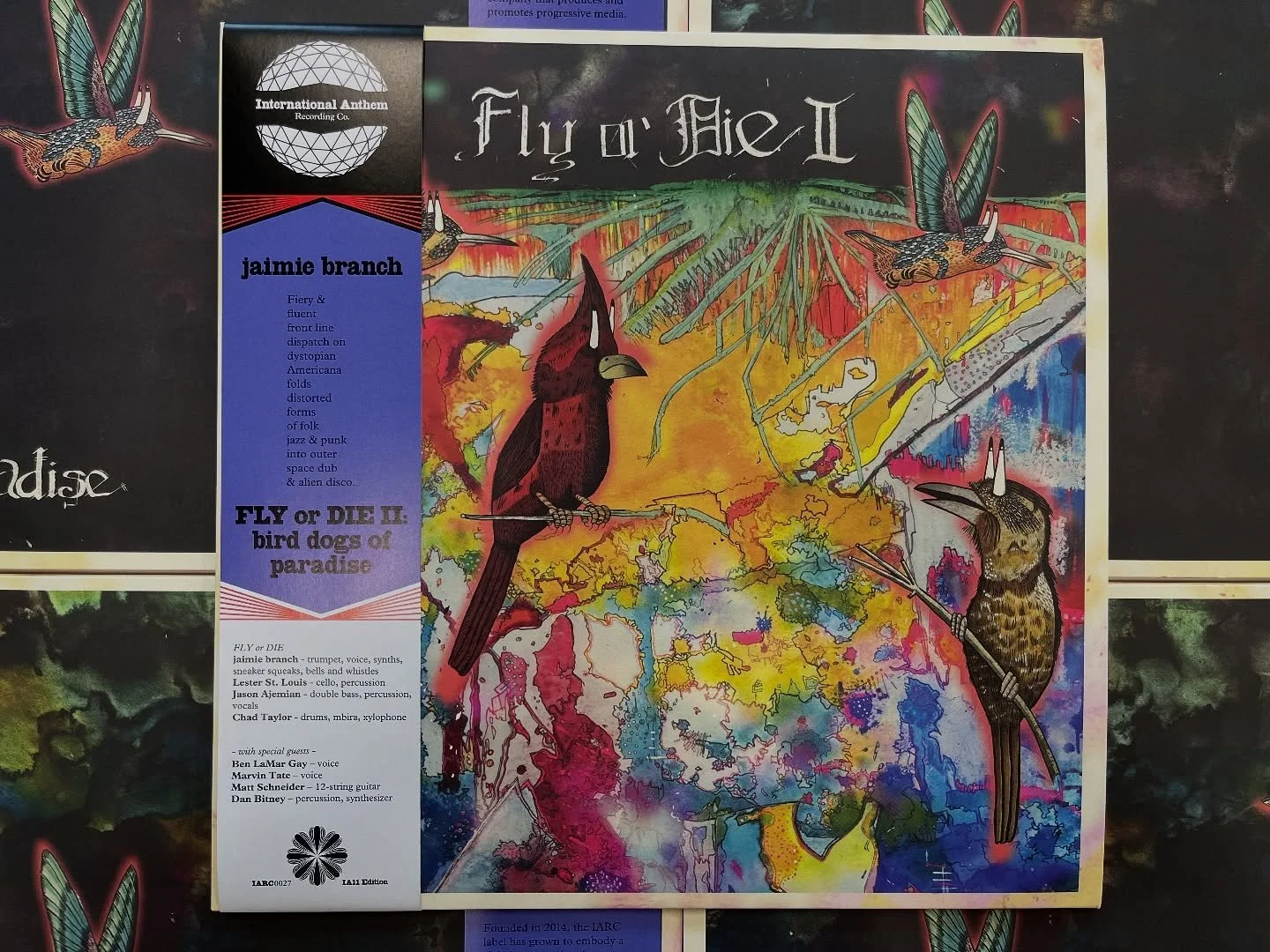 *announcing* jaimie branch
FLY or DIE II: bird dogs of paradise
(IA11 Edition) out December 5, 2025

Today &ndash; fittingly, on election day in the US &ndash; we are honored to announce the penultimate entry in the IA11 series of special edition rel