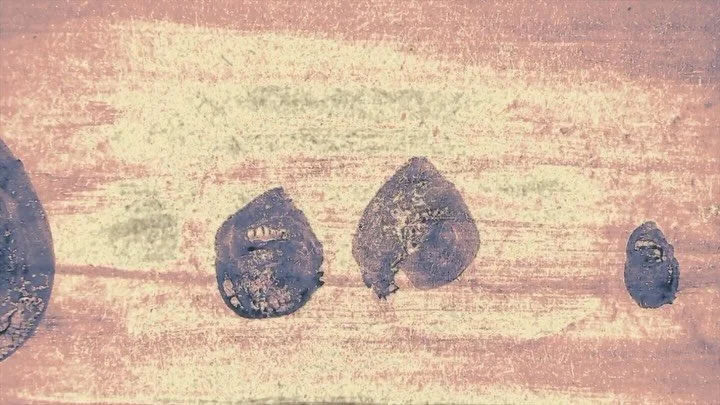 Gregory Uhlmann - &ldquo;𝗩𝗶𝗲𝘄 𝗔𝗯𝗼𝘃𝗲&rdquo; - a companion piece to the &ldquo;View Below&rdquo; video (slide 2). Both videos by @nespy5euro and @debora_panaccione , both tracks from @gregoryuhlmann &rsquo;s new LP 𝐄𝐱𝐭𝐫𝐚 𝐒𝐭𝐚𝐫𝐬.