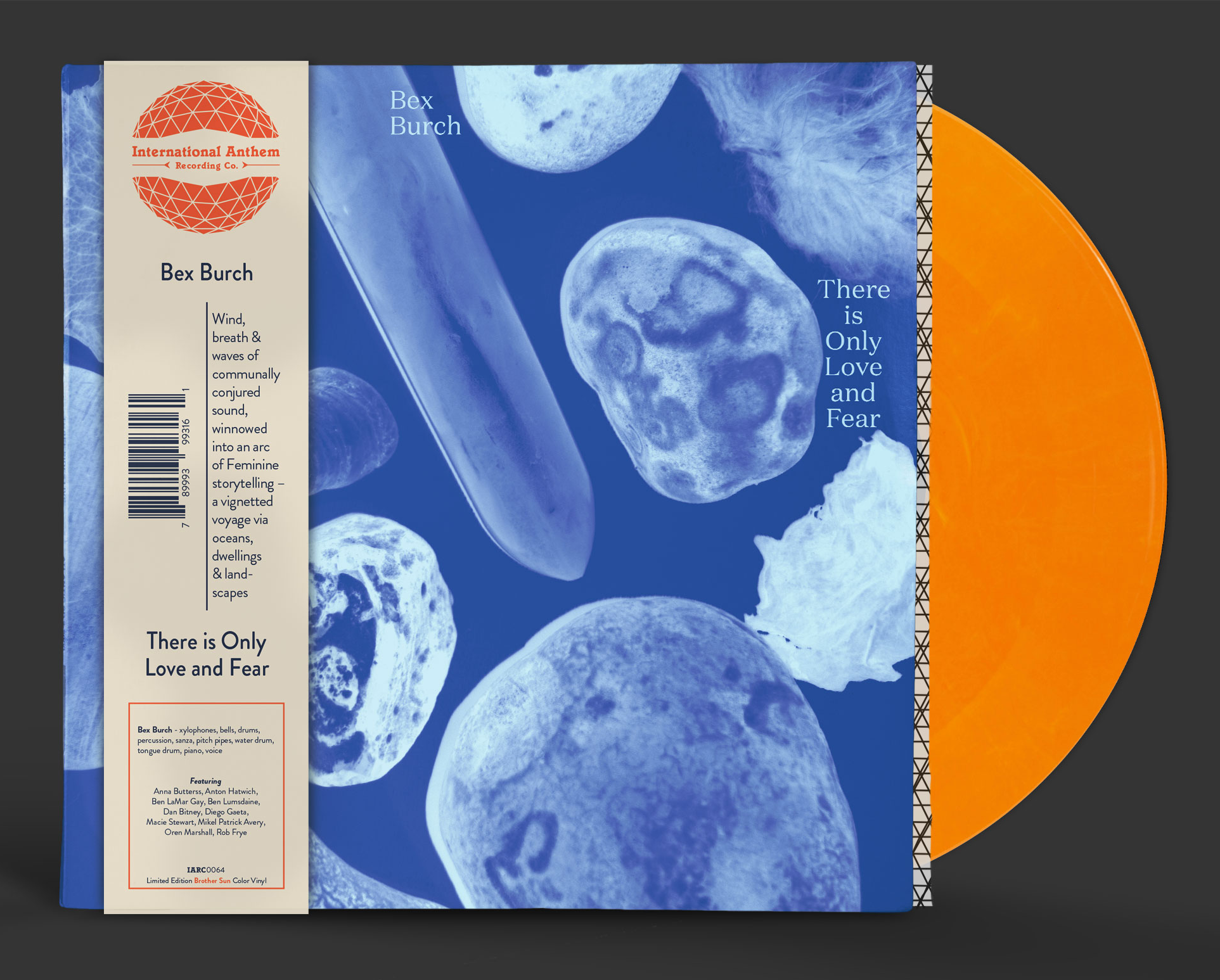 LP product mockup - Brother Sun color vinyl - IARC0064.png