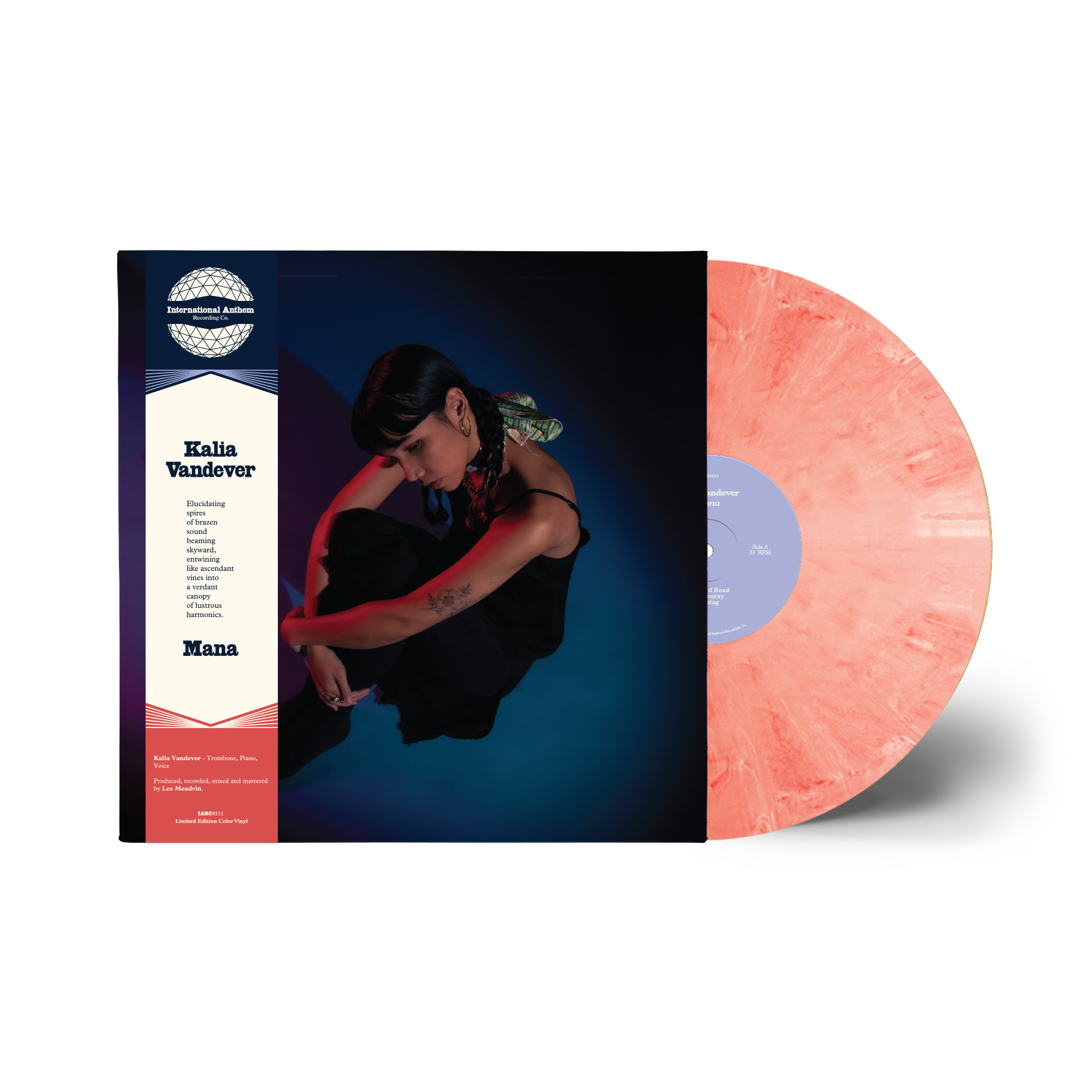 IARC0111_Vinyl Mock_Color.png