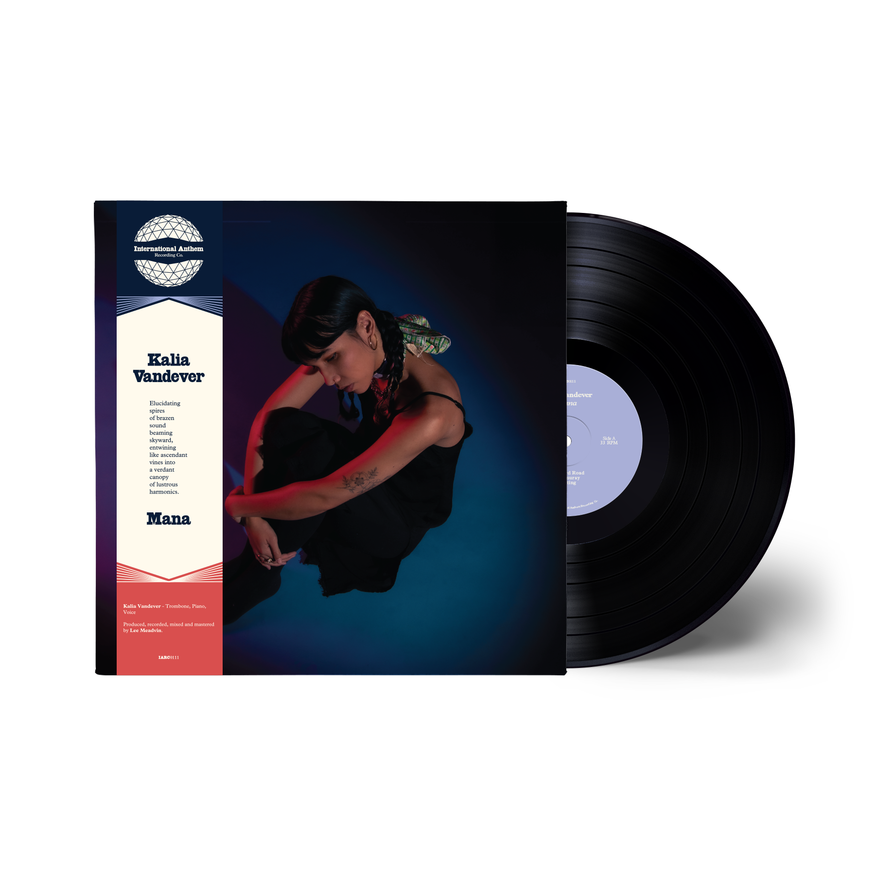IARC0111_Vinyl Mock_Black.png